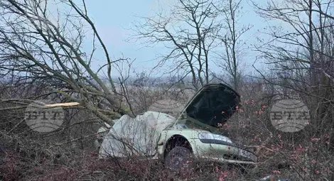 Снимка: БТА Снимка: БТА