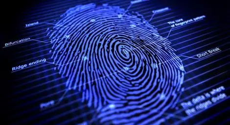 Пръстовите отпечатъци носят информация за произхода ни