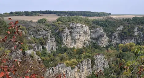 Снимка: Пресцентър Снимка: Пресцентър