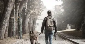 Залагат нови зловещи капани за кучета - кренвирши с гвоздеи