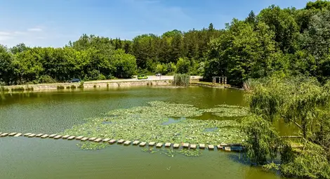 Снимка: Милчо ЙОВЧЕВ