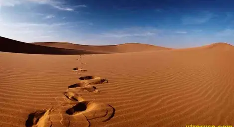 Жажда погуби съпрузи в саудитска пустиня 