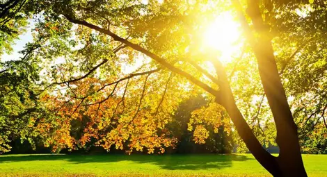 Циганското лято продължава и тази седмица, до 20 ноември не се очаква сняг