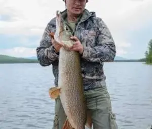 Путин се похвали с 21-килограмова щука /галерия/ Путин се похвали с 21-килограмова щука /галерия/