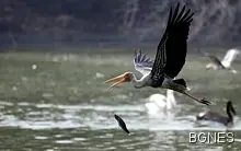 Слънчево с температури до 19 градуса