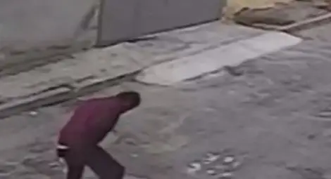 Варненец влиза в затвора за убийство на котка Варненец влиза в затвора за убийство на котка