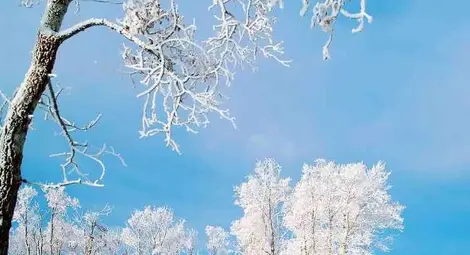 Прогноза за времето за 13 декември 2012 г. Прогноза за времето за 13 декември 2012 г.