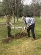 Засаждането на 30 дръвчета в Борово върна Бурджиев в детството
