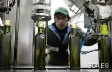 Зехтинът е полезен за костите