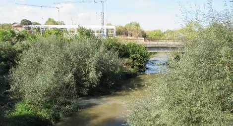 Прокуратурата разпореди проверка на цветните води на Русенски Лом