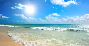 Едноседмична почивка на морето е голямата награда в лятната томбола на „Нетуоркс“