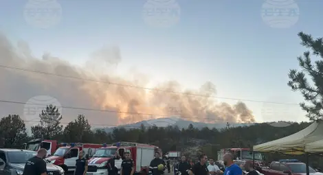 Снимка: БТА