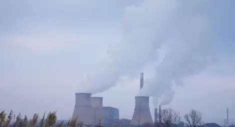 Прокуратурата: Отпадъците са за фирма в Плевен, Вносителите: Боклуците са за ТЕЦ &ldquo;Бобов Дол&rdquo;