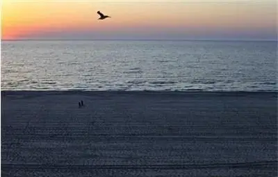 Тяло на мъж е изплавало на един от плажовете във Варна