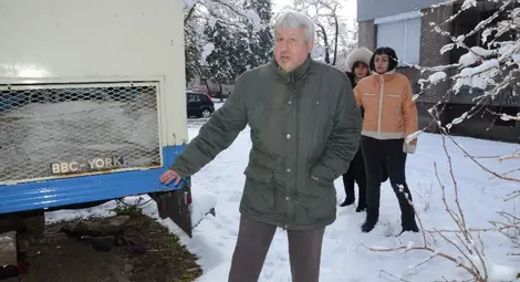 Седем котки умъртвени с отрова за мишки