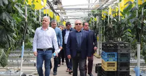 Големият пробив в Голямо Враново - от старт с 3 дка до доставчик на мощни търговски вериги