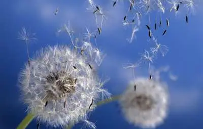 Жълт код за силен вятър е обявен за голяма част от страната