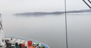 Дунавската агенция: Няма опасност от ледоход в българския участък на реката