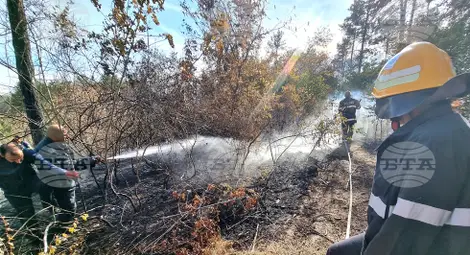 Снимка: БТА