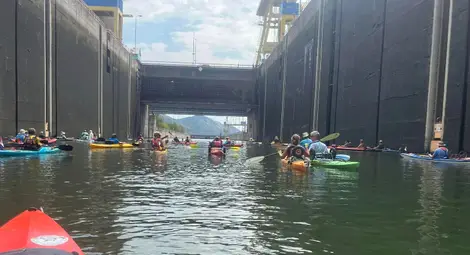 Гребната регата по Дунав ТИД 2023 стартира за 66-и път в неделя