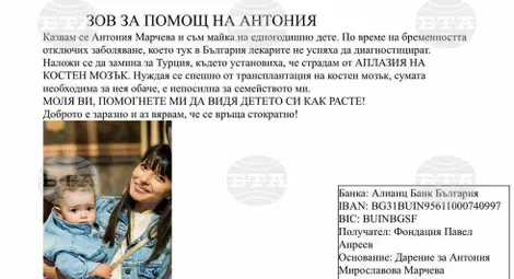 Снимка: БТА