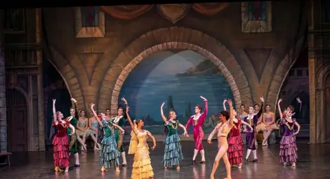 Русенската опера чества юлибея на проф. Хикмет Мехмедов с балета "Дон Кихот" /галерия/