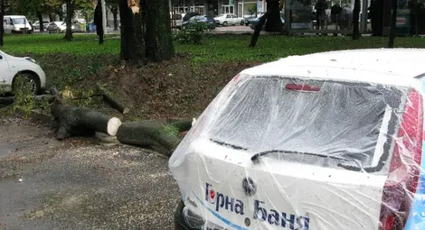 Огромен клон затисна две коли на паркинг