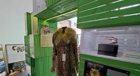 Изложба на русенския музей гостува на Софийския фестивал на науката