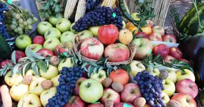 Овощарите искат промени в наредбата за директни доставки