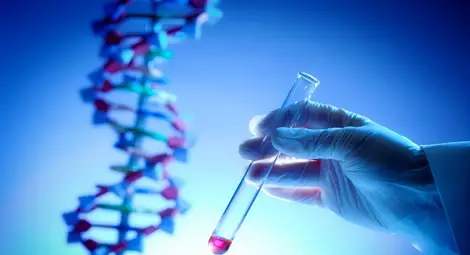 Искат ДНК експертиза по делото за убийството на 23-годишната Поля от мъжа й Искат ДНК експертиза по делото за убийството на 23-годишната Поля от мъжа й