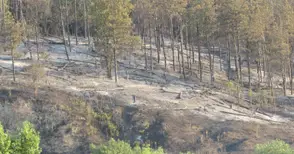 Пожарната след постове във ФБ за ново разгаряне край Средна кула и Долапите: Нищо не гори, траверсите и дънерите тлеят около три дни