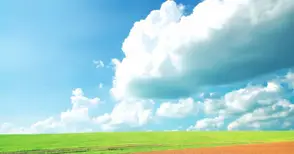 Земеделската земя поскъпна  с 15,2% през 2014 година