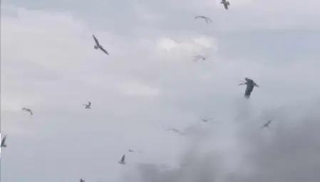 РИОСВ - Русе изиска да бъде уведомена за пожара на депото за отпадъци