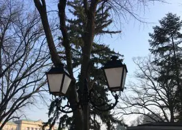 Софийска фирма ще подменя старите натриеви лампи по централни улици Софийска фирма ще подменя старите натриеви лампи по централни улици