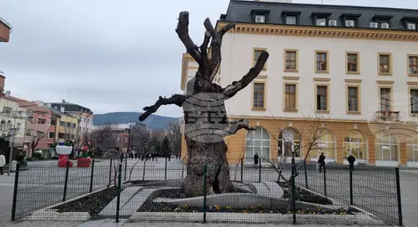 Снимка: БТА Снимка: БТА