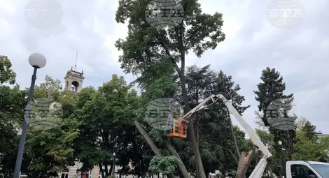 Снимка: БТА