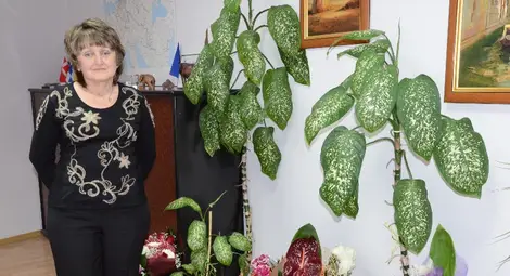 Цветя препълниха директорския кабинет в &bdquo;Дунав Турс&ldquo;