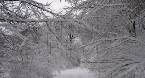 Зимната блокада в Силистра взе първата си жертва Зимната блокада в Силистра взе първата си жертва