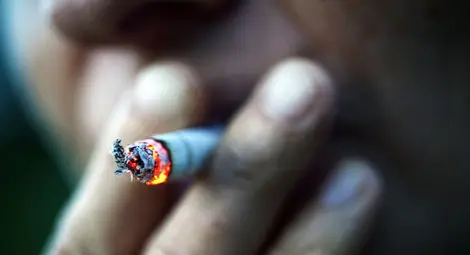 Незагасена цигара запали цех на фирма до ТЕЦ-Изток Незагасена цигара запали цех на фирма до ТЕЦ-Изток