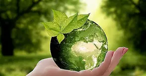 Градина на мечтите и био патрони се борят за шанс от идея да станат реалност