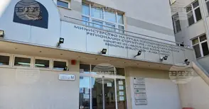 Обявените свободни работни места за специалисти с висше образование за Стара Загора са 43