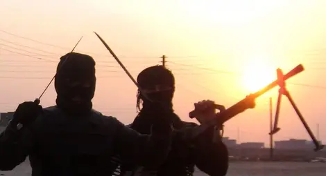 Германските служби: ИД наистина е подобно на държава формирование