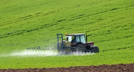 Земя в Две могили  купуват главно фондове