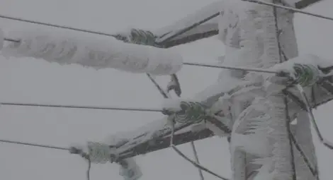 Скъсани електропроводи оставиха без ток населени места около Русе