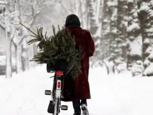 Прогноза за времето за 28 декември 2013 г.