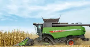 Прибраха половината царевица в Русенско