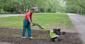 Започна възстановяването на парка след търлата