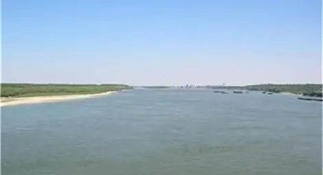 Добра поличба: Рибари хванаха паламуд на въдици за сафрид