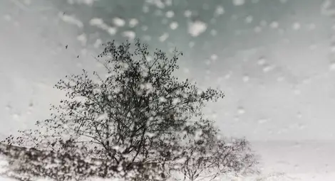 Валежи и застудяване през почивните дни, очаква ни хладна седмица Валежи и застудяване през почивните дни, очаква ни хладна седмица