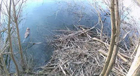 Снимка: Милен Игнатов